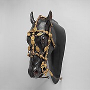 Bit and Bridle for Horse