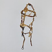 Bridle and matching crupper straps