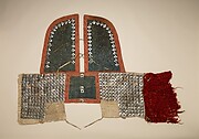 Crinet and shoulder defense for a horse