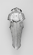 Shaffron (Horse's Head Defense)