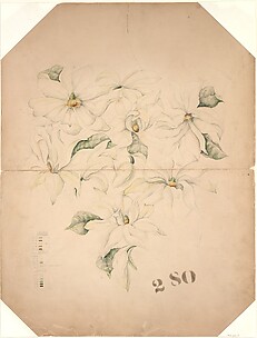 Drawing of Magnolia Vase with Enameling Notations (?)
