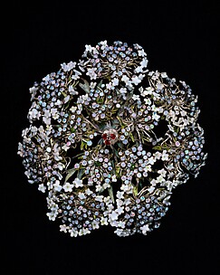 Queen Anne's Lace Hair Ornament