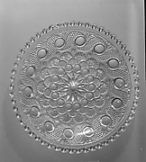 Dish
