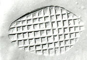 Loop-handled conical (?) stamping device