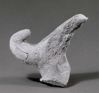 Beak spout