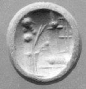 Conoid seal with flattened top