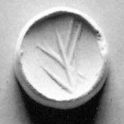 Scaraboid seal with peaked back