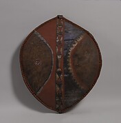 Shield