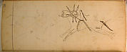 Ledger Drawing