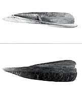Canoe Bailer