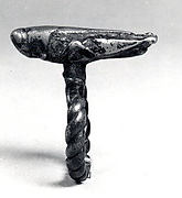 Ring: Insect