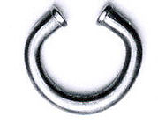 Nose Ornament