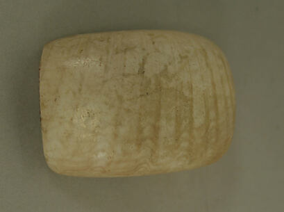 Shell Pendant or Bead