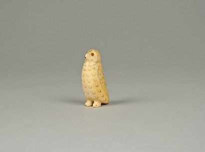 Ivory Snowy Owl
