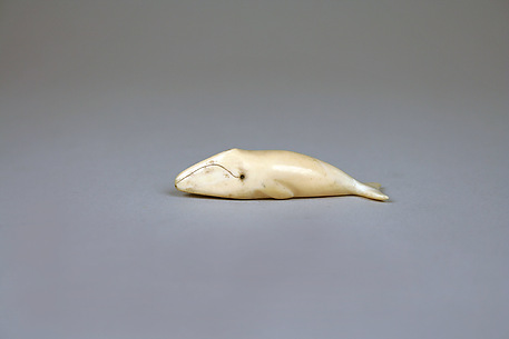 Ivory Whale