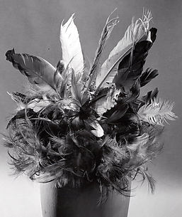Feathered Headdress