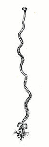 Serpent (tunjo)
