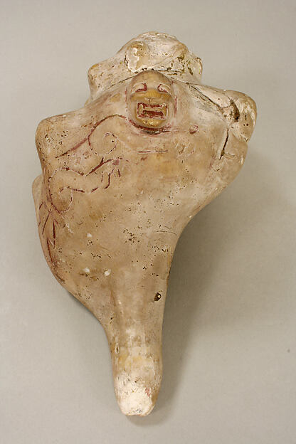 Conch Shell