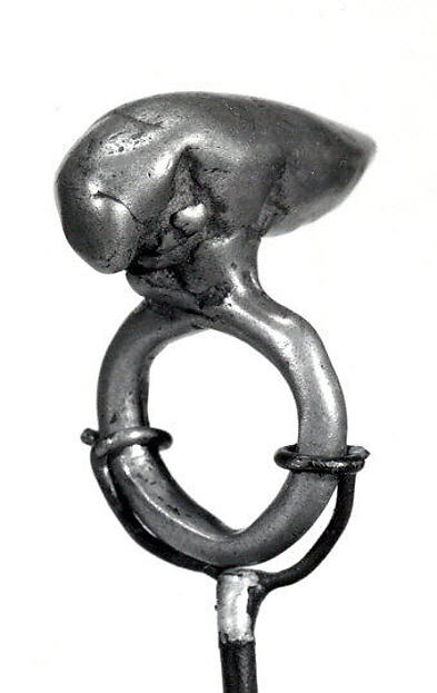Ring: Insect