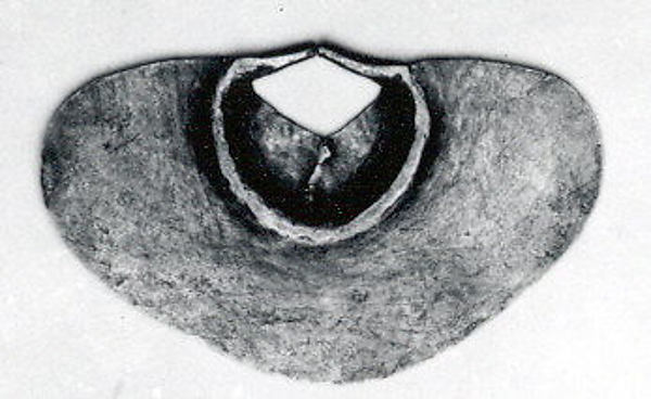 Nose Ornament