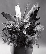 Feathered Headdress