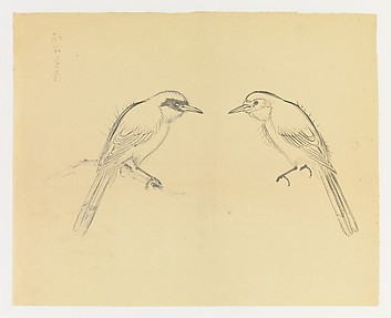 Mirror-images of a Bird