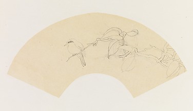 Bird on a Branch