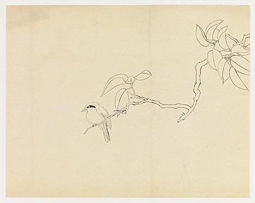 Bird on a Branch