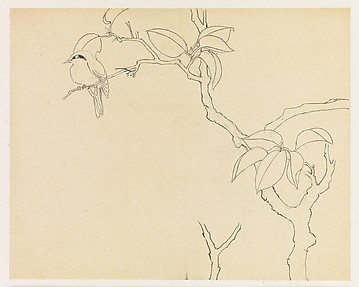 Bird on a Branch