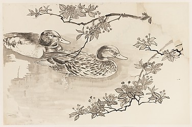 Ducks and Blossoming Branches