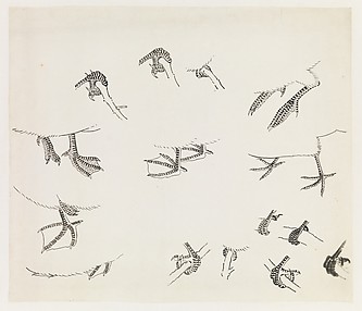 Birds' Feet
