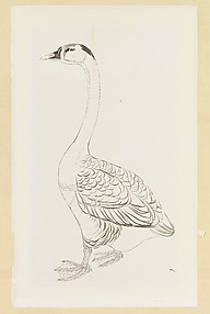 Goose