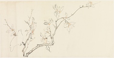 Bird on a Branch