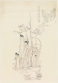 Bird Study with Narcissus and Rock, after Chen Hongshou