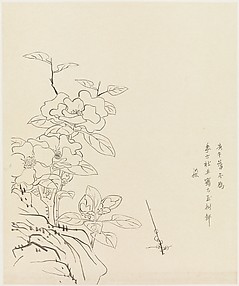 Camellia and Rock, after Chen Hongshou