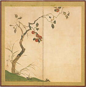 The Persimmon Tree