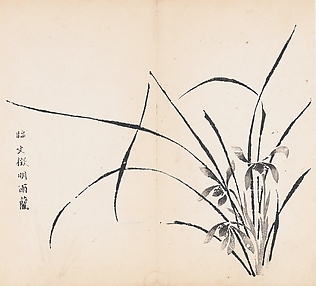 Orchids in Rain, after Wen Zhengming, Leaf from the Ten Bamboo Studio Collection of Calligraphy and Painting, vol. 2

