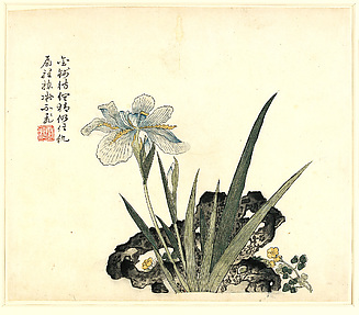 Iris and Rock, from 
Mustard Seed Garden Manual of Painting, Part 3