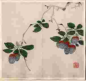 Branch with Fruit, Leaf from the Ten Bamboo Studio Collection of Calligraphy and Painting

