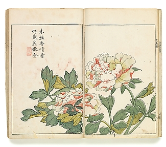 Two Peonies, Leaf from the Japanese edition of the Mustard Seed Garden Painting Manual, vol. 1 of 6

