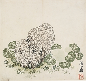 Lichened Stone and Plants, after Ling Yunhan (active second half of the 14th century), Leaf from the Ten Bamboo Studio Collection of Calligraphy and Painting

