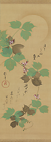 Moon and Arrowroot Vine

