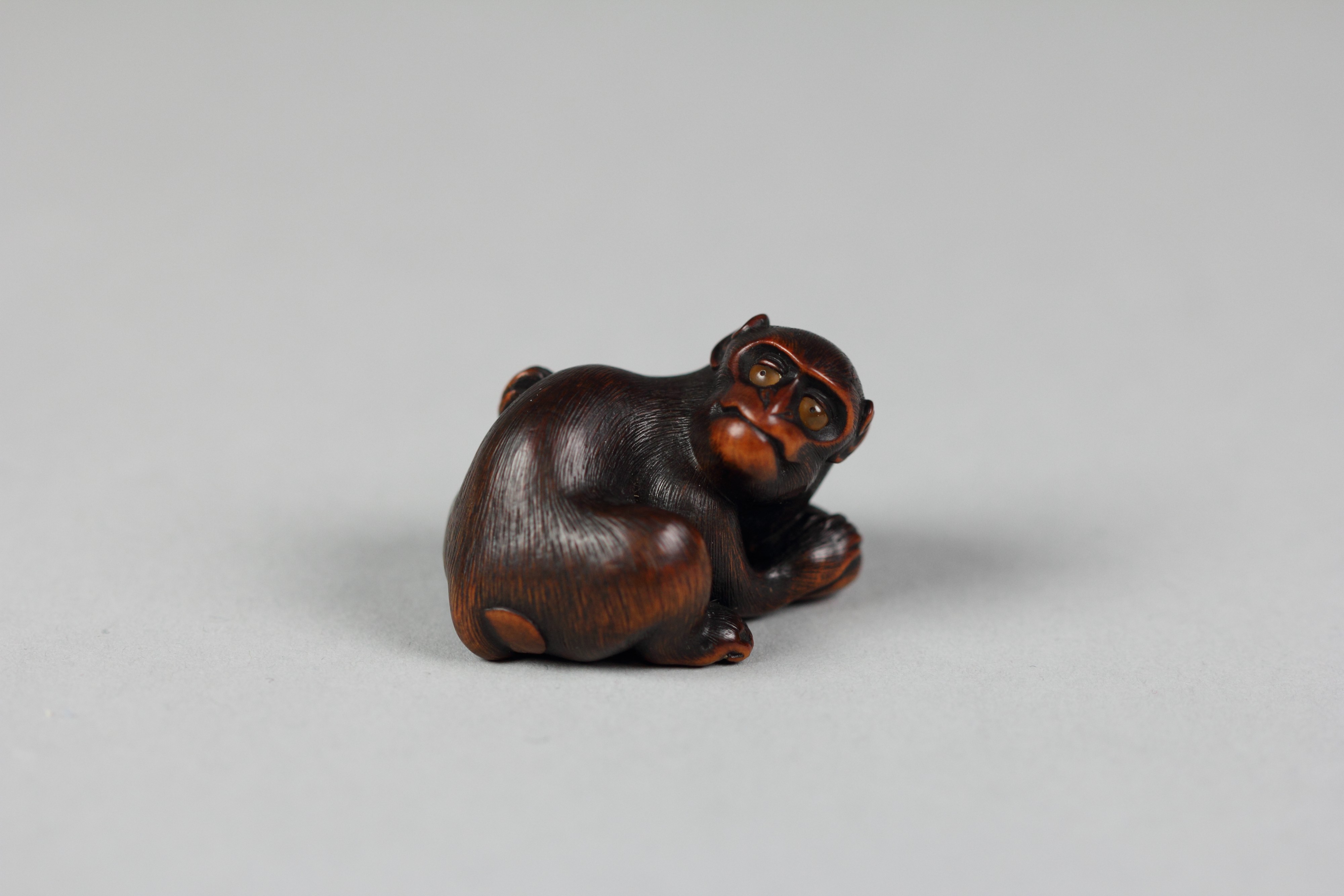 Netsuke Of Monkey Scratching His Back Japan Edo 16151868 Or