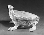 Tortoise