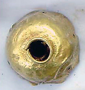 Flower-Shaped Plaque