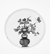 Dish