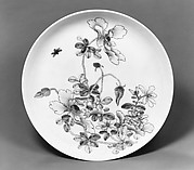 Dish