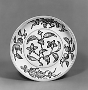 Dish