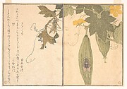 Grasshopper and Cicada (Kirigirisu and Semi), from Picture Book of Selected Insects with Crazy Poems (Ehon Mushi Erabi)