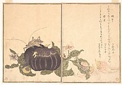 Snail and Giant Katydid (Katatsumuri and Kutsuwamushi), from Picture Book of Selected Insects with Crazy Poems (Ehon Mushi Erabi)